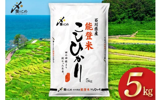 米 令和7年 能登米 こしひかり 精米 5kg [中橋商事 石川県 宝達志水町 38601139] お米 こめ コメ 令和7年産 コシヒカリ 白米 ごはん ご飯 5キロ 能登 石川