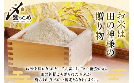 米 令和7年 石川米 こしひかり 精米 5kg [中橋商事 石川県 宝達志水町 38601197] お米 こめ コメ 令和7年産 コシヒカリ 白米 ごはん ご飯 5キロ 能登 石川