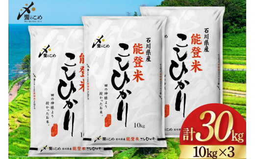 米 令和7年 能登米 こしひかり 精米 10kg 3袋 計 30kg [中橋商事 石川県 宝達志水町 38601196] お米 こめ コメ 令和7年産 コシヒカリ 白米 ごはん ご飯 10キロ 30キロ 能登 石川