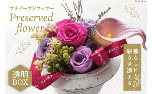 プリザーブドフラワー アレンジ 箱付 ボックス 花 長期 [littleprincess 石川県 宝達志水町 38600155]
