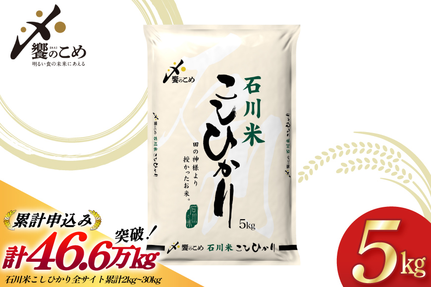 米 令和7年 石川米 こしひかり 精米 5kg [中橋商事 石川県 宝達志水町 38601197] お米 こめ コメ 令和7年産 コシヒカリ 白米 ごはん ご飯 5キロ 能登 石川