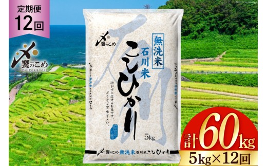【12回 無洗米 定期便 】石川県産 こしひかり 5kg×12回 総計60kg [中橋商事 石川県 宝達志水町 38601338] 米 お米 白米 精米 ご飯 ごはん コシヒカリ