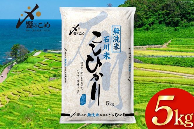 米 令和7年 無洗米 こしひかり 精米 5kg [中橋商事 石川県 宝達志水町 38601204] お米 こめ コメ 令和7年産 コシヒカリ 白米 ごはん ご飯 5キロ 時短 むせんまい 能登 石川