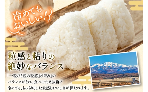 米 定期便 ひゃくまん穀 5kg × 6回 総計30kg [中橋商事株式会社 石川県 宝達志水町 38601380] お米 コメ こめ kome ごはん 定期 6ヶ月 ひゃくまんごく 5キロ 30キロ 能登