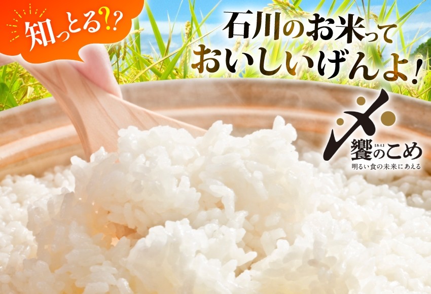 米 定期便 ひゃくまん穀 5kg × 12回 総計60kg [中橋商事株式会社 石川県 宝達志水町 38601381] お米 コメ こめ kome ごはん 定期 12ヶ月 ひゃくまんごく 5キロ 能登