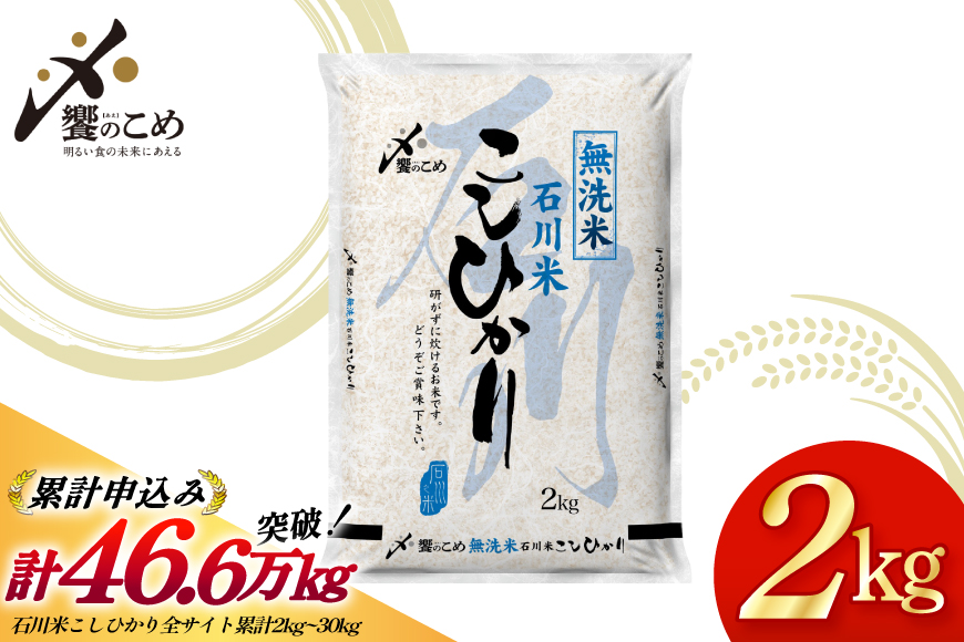 米 令和7年産 無洗米 石川米 こしひかり 2kg [中橋商事 石川県 宝達志水町 38601349] コシヒカリ お米 こめ コメ kome 能登 小容量 2キロ 令和7年 むせんまい