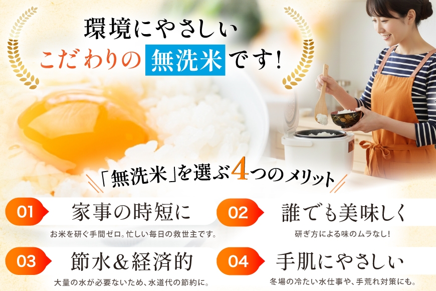 米 定期便 無洗米 ひゃくまん穀 5kg × 6回 総計30kg [中橋商事株式会社 石川県 宝達志水町 38601383] お米 コメ こめ kome ごはん 無洗 定期 6ヶ月 ひゃくまんごく 5キロ 30キロ 能登