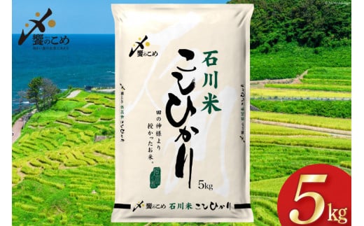 米 令和7年 石川米 こしひかり 精米 5kg [中橋商事 石川県 宝達志水町 38601197] お米 こめ コメ 令和7年産 コシヒカリ 白米 ごはん ご飯 5キロ 能登 石川