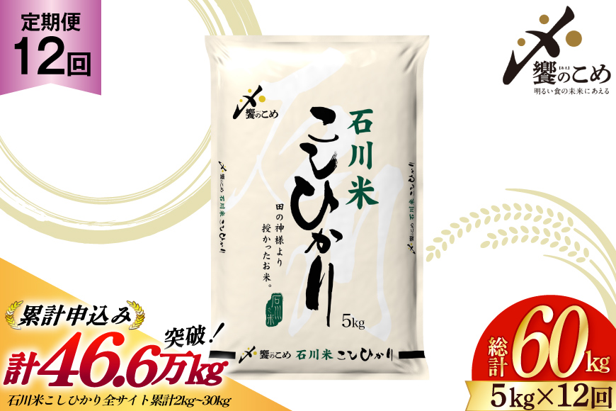 米 定期便 石川米こしひかり【穂立】5kg×12回 総計60kg [中橋商事 石川県 宝達志水町 38600814]コシヒカリ お米 コメ 12ヶ月 白米 精米 おこめ こめ 能登 5kg 5キロ