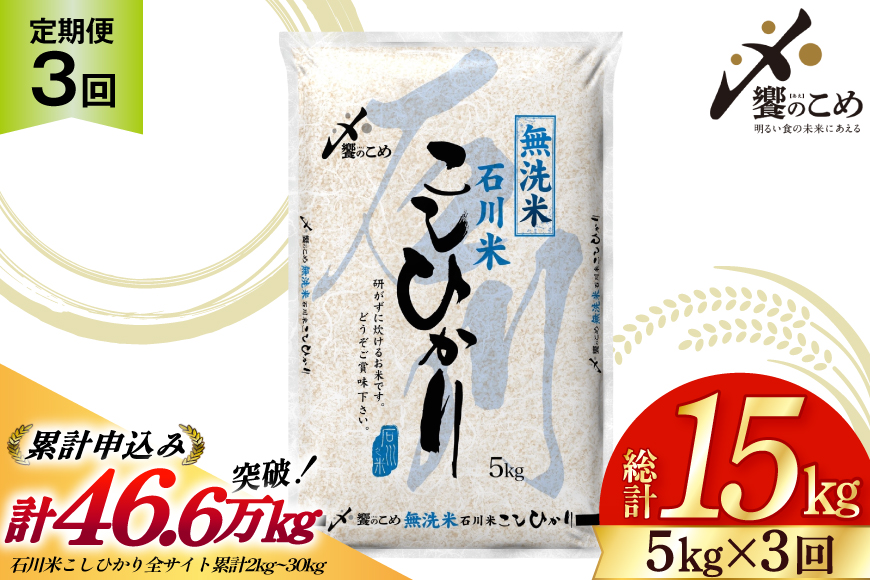 【3回 無洗米 定期便 】石川県産 こしひかり 5kg×3回 総計15kg [中橋商事 石川県 宝達志水町 38601336] 米 お米 白米 精米 ご飯 ごはん コシヒカリ