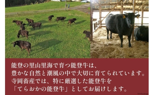 牛肉 能登牛 ロース (4〜5等級) すき焼き用 450g [寺岡畜産 石川県 宝達志水町 38601316] 肉 お肉 すき焼き すきやき 能登牛 すき焼肉 すき焼き用 牛 国産 冷凍 和牛