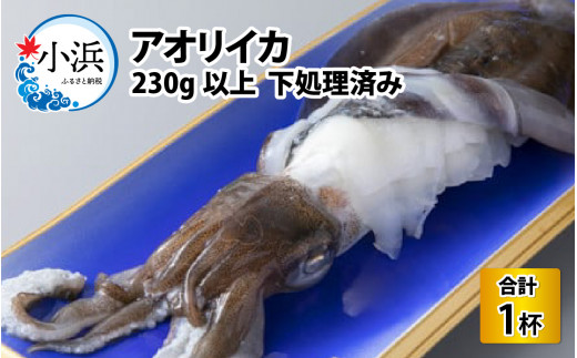 アオリイカ　230g以上　下処理済み/ いか イカ アオリイカ 刺身 活造り ゲソ 魚介 海産物 海鮮 天然 冷凍 焼きイカ いかめし CAS凍結 230g 烏賊 いか刺身  【配送不可地域：北海道・沖縄・離島】  [BFCV001]