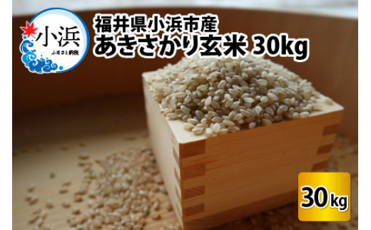 【令和6年産】 福井県産 あきさかり 玄米 30kg 若狭の恵 [BFAG015]