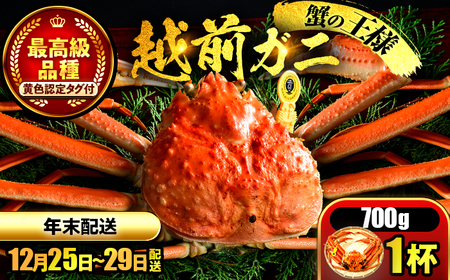 【先行予約/12月25日より順次発送】【年末希望】 越前がに 700ｇ×1杯 ズワイガニ ずわいがに ボイル 冷蔵 小浜市 / まるほ商店 【配送不可地域：北海道・沖縄・離島】[BFCS036]