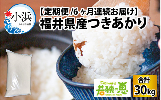 【定期便】 【6ヶ月連続お届け】【令和6年産】つきあかり 白米 5kg×6回 福井県産 若狭の恵  [BFAG012]
