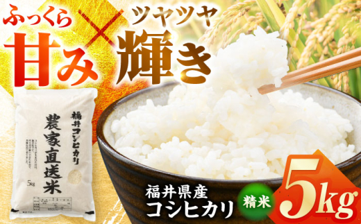 【令和7年産】 福井県産こしひかり 精米 5kg（ビニール袋） 小浜市 / シマダ農園 [BFAV001]