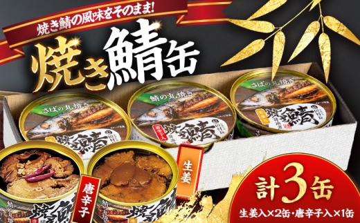 焼き鯖の缶詰詰合せ 3缶入(生姜入×2缶・唐辛子入×1缶) 小浜市 / 田村長 [BFBV004]