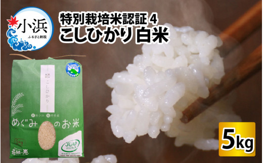【令和6年産】福井県産特別栽培米認証4こしひかり 白米5kg [BFAG025]