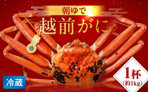 朝ゆで 越前がに1杯　【1kg】 / ずわいがに 蟹 ズワイガニ 小浜市 / 小浜海産物 【配送不可地域：北海道・沖縄・離島】  [BFAA003]