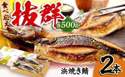 若狭小浜　桝屋の浜焼き鯖2本入り  【配送不可地域：離島】  [BFAO008]