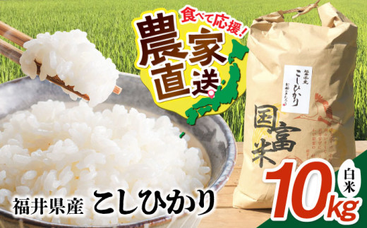 【令和7年度産】 福井県産 こしひかり 白米 10kg / 米 白米 精米 小浜市 / お米のきたろう [BFBW001]
