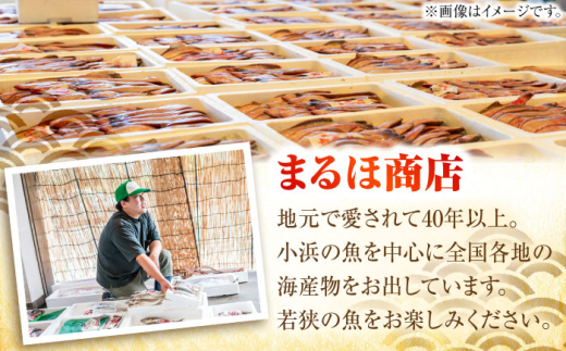 若狭グジの一塩仕立て 700g×2尾   小浜市 / まるほ商店 【配送不可地域：北海道・沖縄・離島】  [BFCS004] 