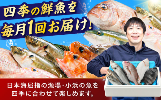 【定期便】 【全12回(毎月発送)】 【下処理済】 旬の天然鮮魚 2kg おまかせ セット 【加福鮮魚】 「若狭小浜港産地直送」！　 小浜市 / 加福鮮魚 【配送不可地域：北海道、北東北（秋田、青森、岩手）、九州、沖縄、離島】  [BFBC017] 
