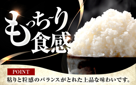  福井県産 コシヒカリ 精米 (白米) 10kg 一等級　福井県米 /甘みと粘りが際立つ 王道米 こしひかり 小浜市 / 若狭ふれあい市場 [BFEL018]