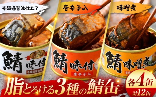 鯖缶詰12缶詰め合わせB 180g×12缶｜サバ缶 鯖缶 さば缶 鯖 サバ さば 缶詰 サバ缶詰 鯖缶詰 缶 詰合せ 詰め合せ セット 非常食 防災 備蓄 常温 常備食 保存食 [BFAB035]