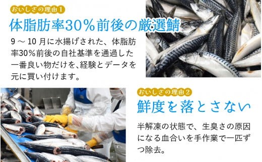 鯖味付缶詰【本醸造醤油仕立て】 180g×12缶 ｜ サバ缶 鯖缶 さば缶 鯖 サバ さば 缶詰 サバ缶詰 鯖缶詰 缶 詰合せ 詰め合せ セット 非常食 防災 備蓄 常温 常備食 保存食 [BFAB014]