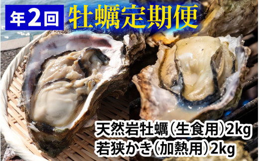 【定期便】【年2回】若狭の天然岩牡蠣（生食用）と若狭小浜ブランド 若狭かき（加熱用）2kg×2回 計4kg  【配送不可地域：北海道・沖縄・離島】  [BFAO014]