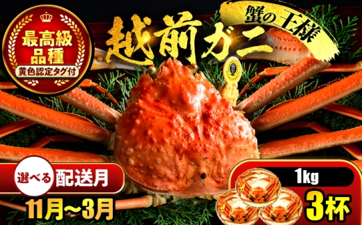 【先行予約】 【12月配送】 越前がに 1kg×3杯 小浜市 / まるほ商店 【配送不可地域：北海道・沖縄・離島】[BFCS032-12]