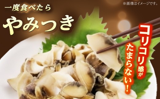 先行予約 2026年6月発送 サザエ 天然 活サザエ 2kg 15〜30個 朝獲れ BBQ 【期間限定】【配送不可地域：北海道・沖縄・離島】 小浜市 / 桝屋商店 [BFAO015] 