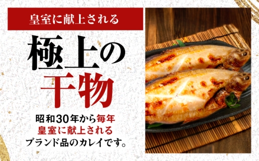 献上鰈 上品な味わい 若狭かれい一夜干し 約100g×10尾セット / 干物 魚介 冷凍 ギフト 小浜市 / まるほ商店 【配送不可地域：北海道・沖縄・離島】 [BFCS060]