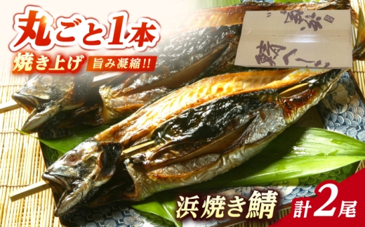 浜焼き鯖 400g  2尾 【配送不可地域：離島】 小浜市 / 朽木屋 [BFCM003] 