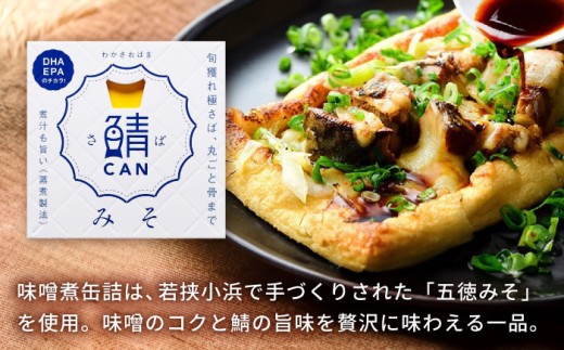 旬獲れ 鯖缶詰　3ヶ詰め合わせ(味付・味噌・水煮)×3セット [BFAA056]