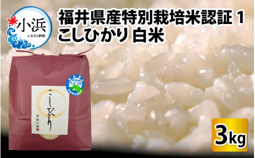 【令和6年産】【最高ランク】福井県産特別栽培米認証1こしひかり 白米3kg 若狭の恵 [BFAG023]