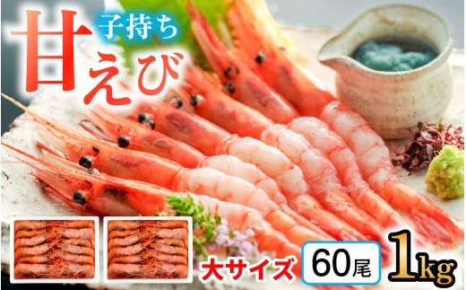 子持ち甘えび  約30尾 ×2箱（1kg）  【配送不可地域：北海道・沖縄・離島】  [BFAA051]