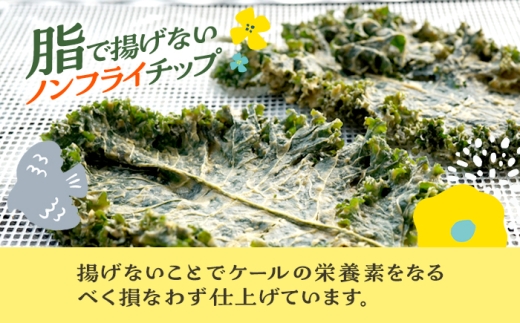 ケールチップス CafeSeasons 手作り 国産ケール使用 カシューナッツとスパイス仕立て / ヘルシー おやつ プラントベース おつまみ 小浜市 / Cafe Seasons [BFCC011]