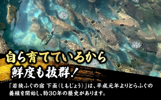 若狭ふぐ満喫コース付ペア宿泊券  小浜市 / 若狭ふぐの宿 下亟 [BFAF002]