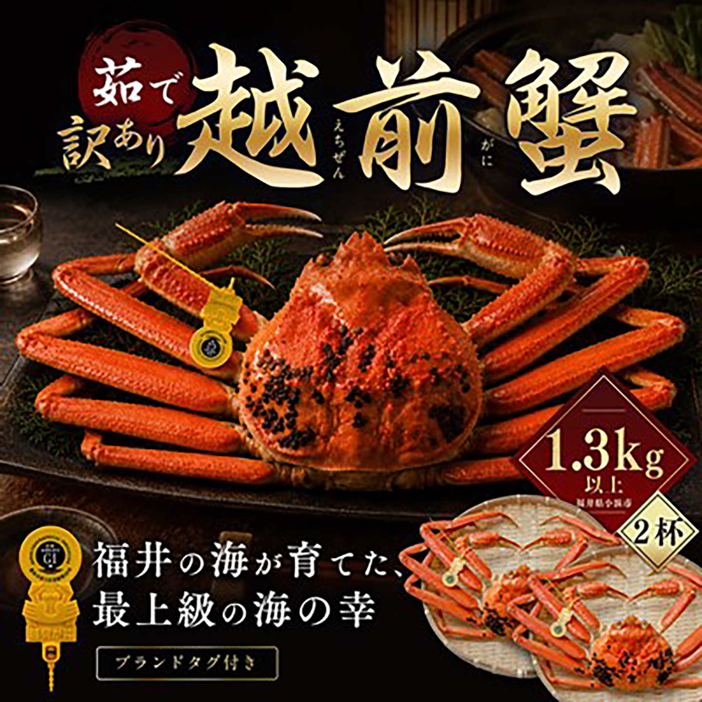 【先行予約/11月18日より順次配送】【訳あり】越前がに 1.3kg×2杯 茹で 福井県産ズワイガニ 脚折れ・欠け / かに カニ 蟹 越前ガニ ズワイガニ ボイル / 小浜市 / 一進わかさ【配送不可地域：北海道・沖縄・離島】 [BFES032]