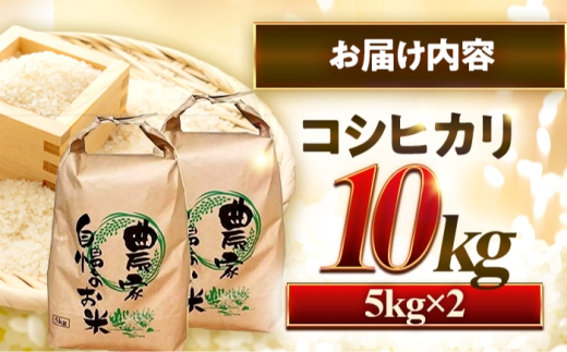 小浜のコシヒカリ 10kg（5kg×2袋）/ 白米 精米 国産米 福井県 小浜市 / 市左ヱ門米屋 [BFEN001]