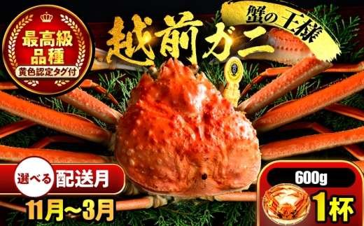 【先行予約】 【11月配送】 越前がに 600ｇ×1杯 小浜市 / まるほ商店 【配送不可地域：北海道・沖縄・離島】[BFCS018-11]