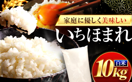 【通常発送】福井県産 いちほまれ 精米 10kg 県産ブランド米 / コメ 白米  米 小浜市 / 梅田東米穀店 [BFEK019]