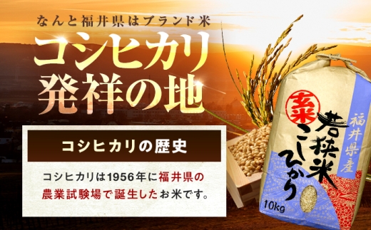 【1月発送】 福井県産 コシヒカリ 玄米 10kg 一等級 /甘みと粘りが自慢 王道米 こしひかり 小浜市 / 若狭ふれいあい市場 [BFEL002]