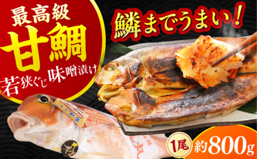 【加福鮮魚】若狭ぐじ 味噌漬け開き 1尾 800g   小浜市 / 加福鮮魚 【配送不可地域：北海道・沖縄・離島】  [BFBC002]
