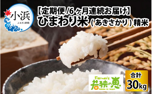 【定期便】【6ヶ月連続お届け】【令和6年産】 福井県産ひまわり米 白米5kg×6回 若狭の恵 [BFAG021]
