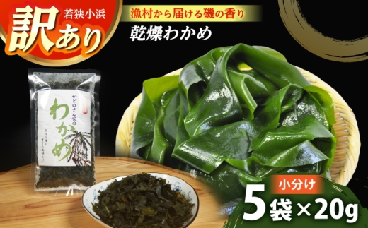 【訳あり】【天然・養殖】漁師が育てた 乾燥わかめ 5袋 小浜市 / 釣り船・民宿かどの [BFBG006]