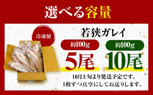 献上鰈 上品な味わい 若狭かれい一夜干し 約100g×10尾セット / 干物 魚介 冷凍 ギフト 小浜市 / まるほ商店 【配送不可地域：北海道・沖縄・離島】 [BFCS060]