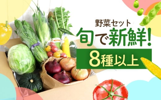 鯖街道からお届け 季節の新鮮 野菜セット 8種以上  [BFAN006]